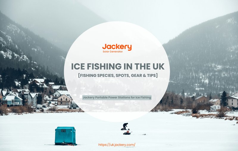 Ice fishing live, ice fishing live casino