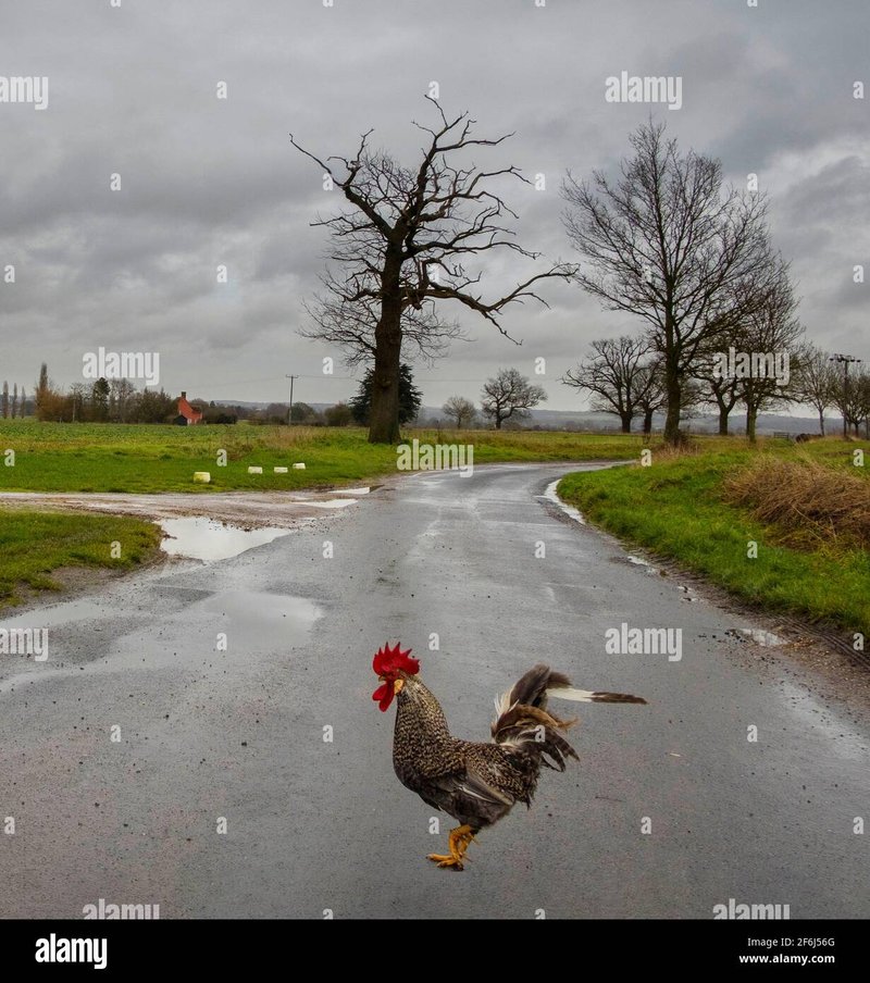 Entdecken Sie die spannende Welt von Chicken Road im Online Casino Deutschland - overview
